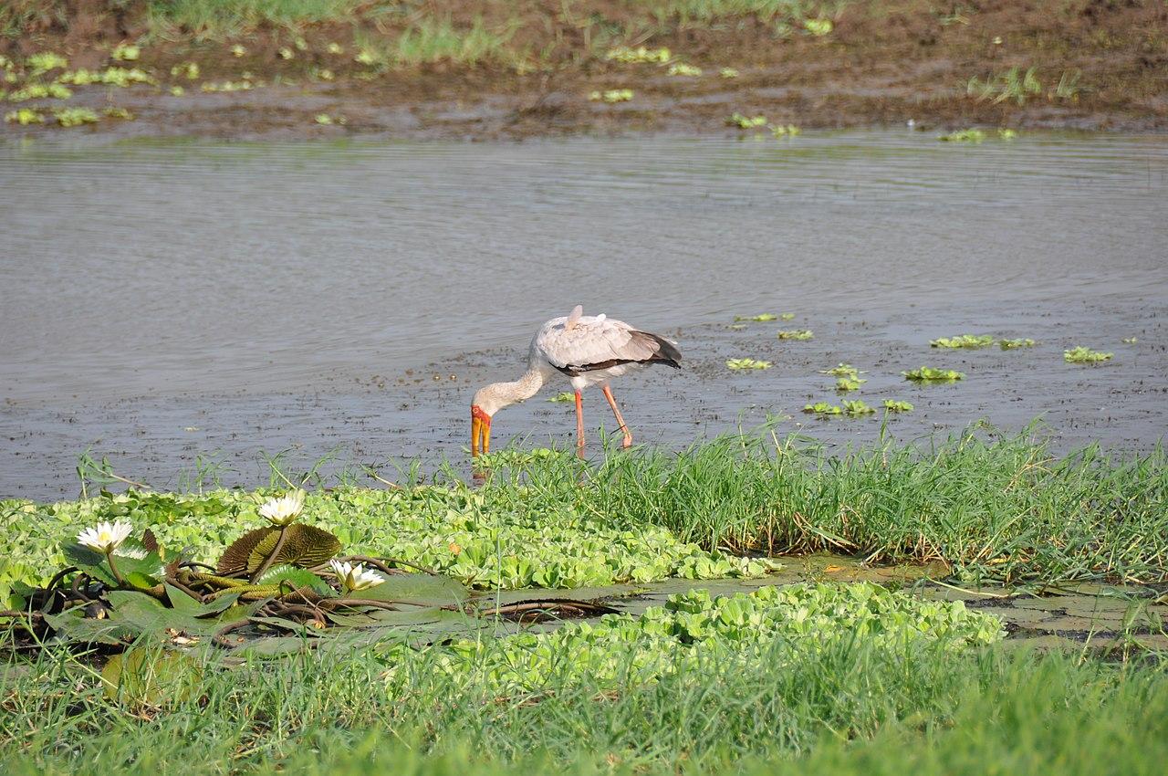 Central Mozambique, Mozambique